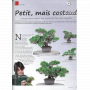 BONSAI FOCUS N° 125