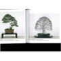 kokufu-ten bonsai exhibition catalogue 83 (2009)