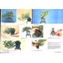 FRANCE BONSAI n° 93