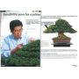 BONSAI FOCUS N° 69