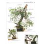 EPUISE BONSAI FOCUS N° 75