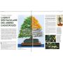 ESPRIT BONSAI N° 51
