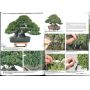 EPUISEFrance bonsai N° 87