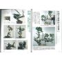 epuisekawabe bonsai book