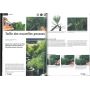 BONSAI FOCUS N° 65