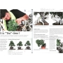 BONSAI FOCUS N° 83