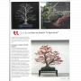 BONSAI FOCUS N° 114