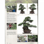 BONSAI FOCUS N° 129