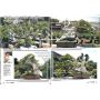EPUISEFrance bonsai N° 87
