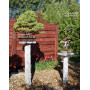 Stele granite bonsai 100 cm
