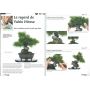 BONSAI FOCUS N° 69