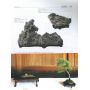 EPUISE BONSAI FOCUS N° 75