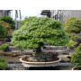 Engrais TAMAHI boulettes grosses 8 kilos