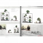 BONSAI FOCUS N° 104