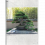 BONSAI FOCUS N° 118