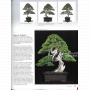 BONSAI FOCUS N° 119