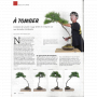 BONSAI FOCUS N° 124