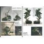 epuisekawabe bonsai book