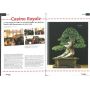 BONSAI FOCUS N° 65
