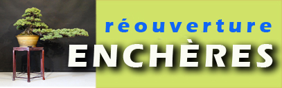 Nouvelles enchères en ligne.