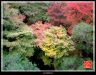 kyoto-trip