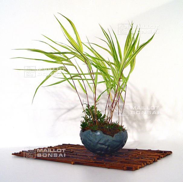kusamono
