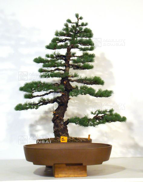 idee-de-poterie