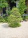 master-kentaro-shiino-s-garden-in-japan