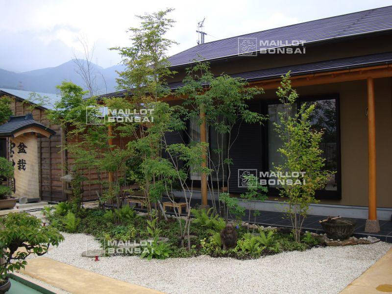 le-jardin-de-me-shiino-kentaro