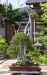 master-kentaro-shiino-s-garden-in-japan