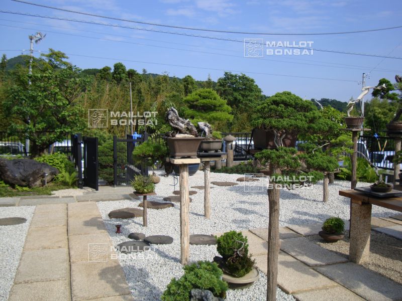 le-jardin-de-me-shiino-kentaro