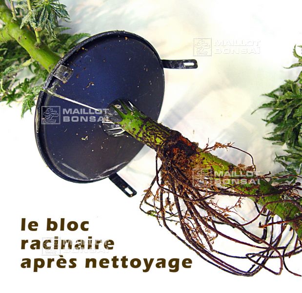 rooter-pot-mode-d-emploi
