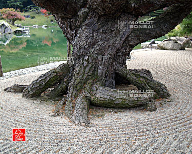 le-jardin-ritsurin