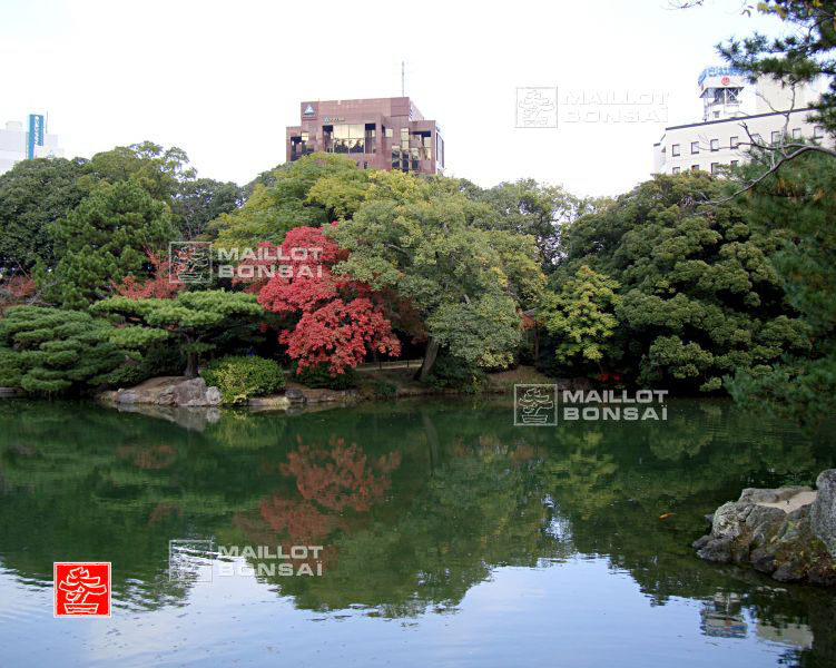le-jardin-ritsurin