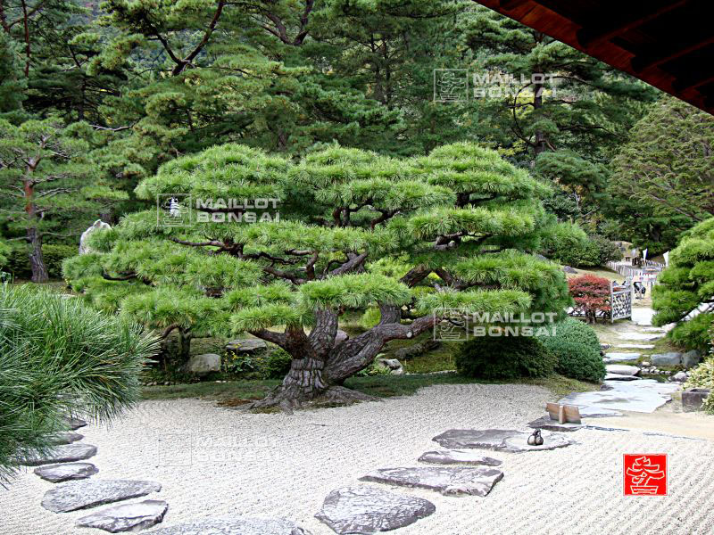 le-jardin-ritsurin