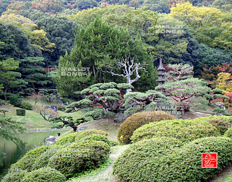 le-jardin-ritsurin