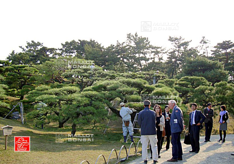 le-jardin-ritsurin