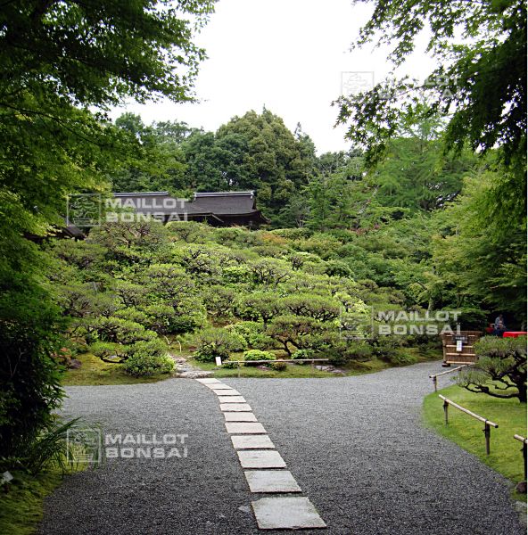 la-villa-okochi-sanso-a-kyoto