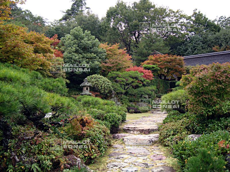 la-villa-okochi-sanso-a-kyoto