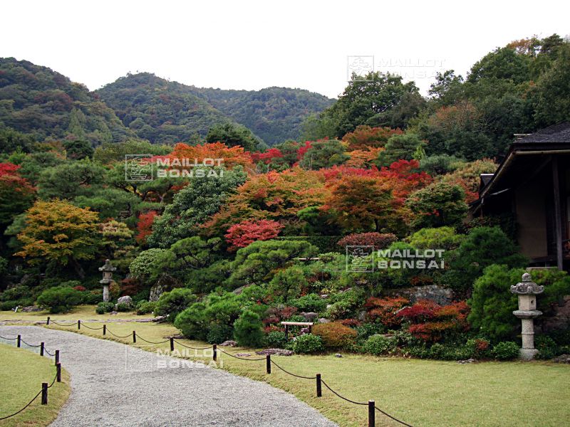 la-villa-okochi-sanso-a-kyoto