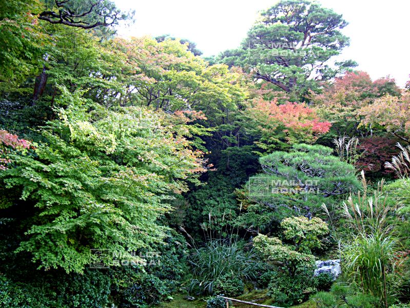 la-villa-okochi-sanso-a-kyoto