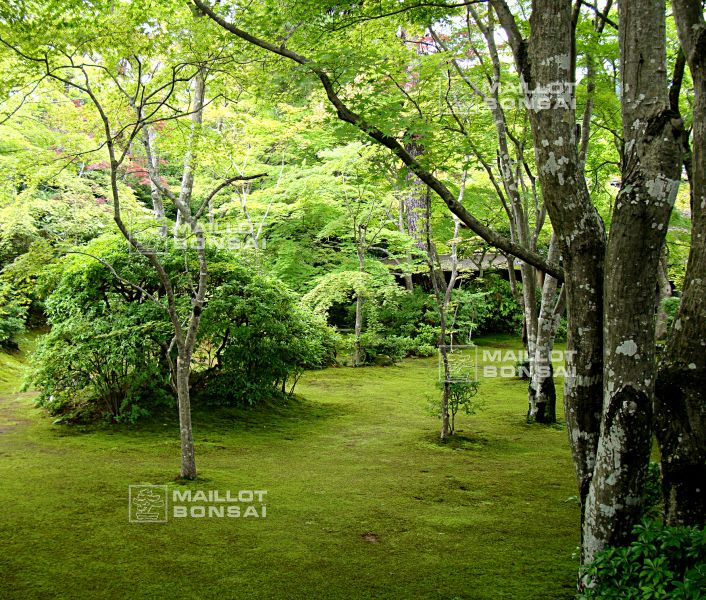 la-villa-okochi-sanso-a-kyoto