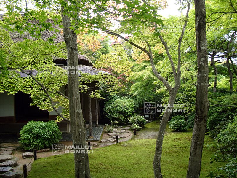 la-villa-okochi-sanso-a-kyoto