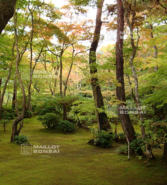 la-villa-okochi-sanso-a-kyoto