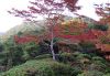 la-villa-okochi-sanso-a-kyoto