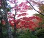 okochi-sanso-villa-kyoto