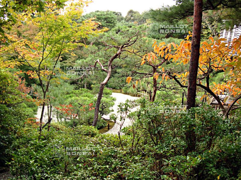 la-villa-okochi-sanso-a-kyoto