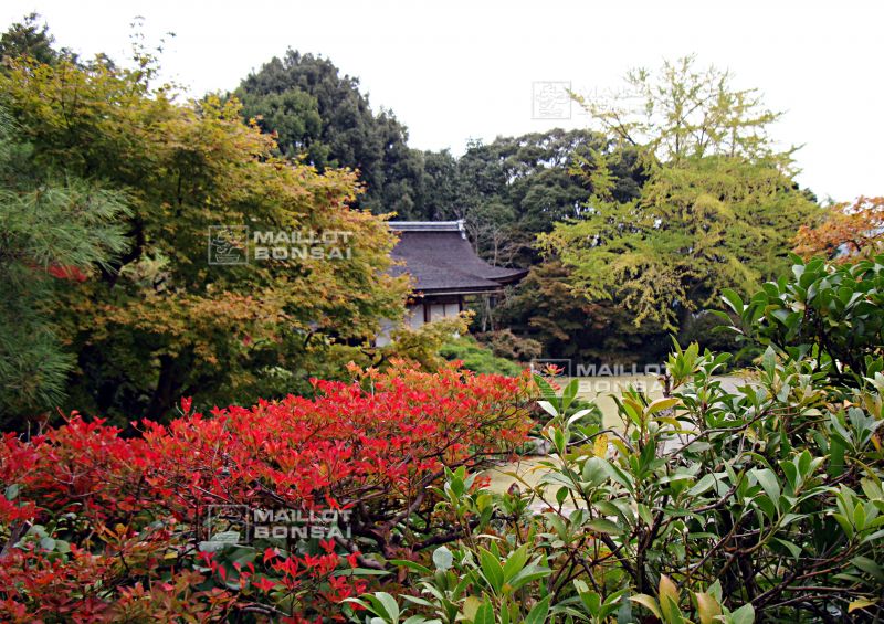 la-villa-okochi-sanso-a-kyoto