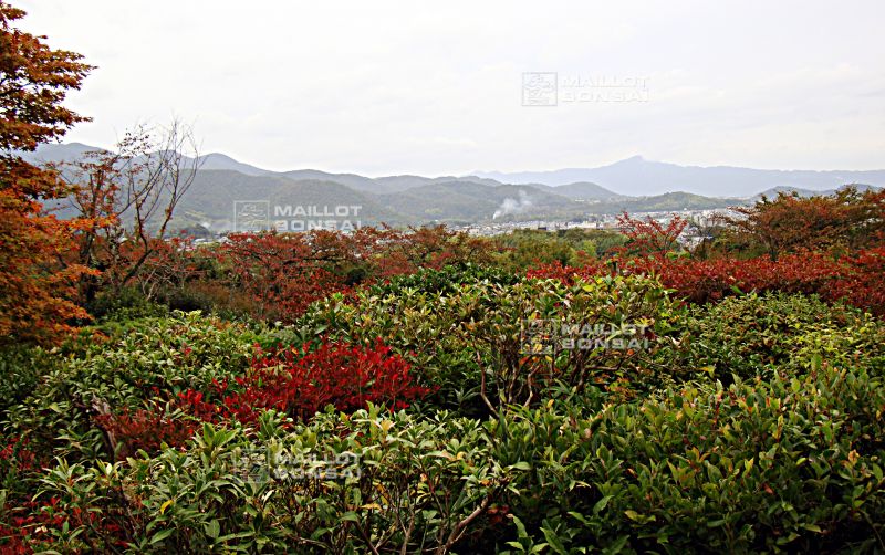 la-villa-okochi-sanso-a-kyoto