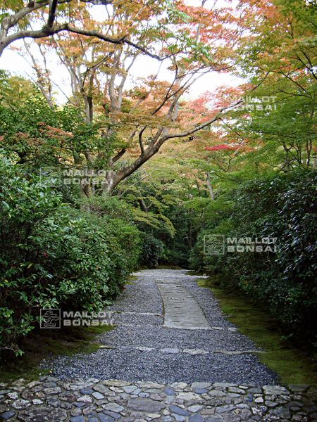 la-villa-okochi-sanso-a-kyoto